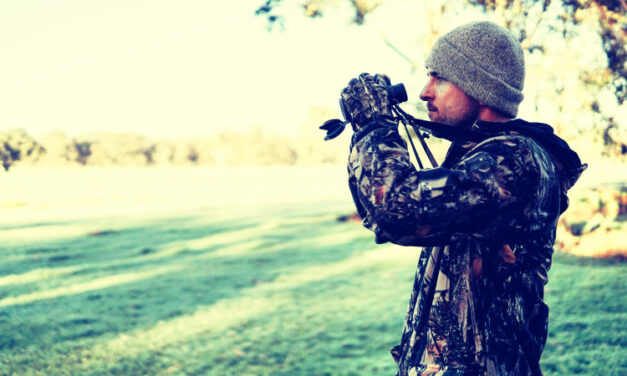 Top 5 Best Leupold Binoculars for Hunting • (2026 Reviews)
